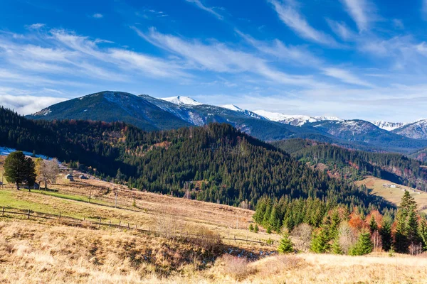 Dağlarla, ormanlarla ve Ukrayna 'daki Karpat Dağları' ndaki ağaçlarla harika bir manzara..
