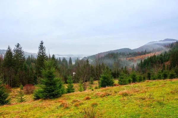 Ukraina, Karpaty. Koniec porannej mgły w jesiennych górach. Krajobraz ze śnieżnymi górami i biegnącą mgłą. — Zdjęcie stockowe