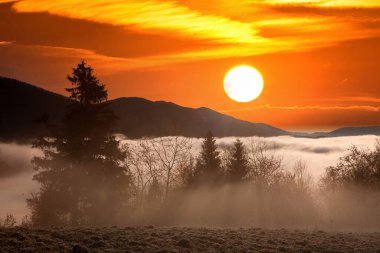 Karpat Dağları, Ukrayna 'da gün doğumunda sisle kaplı donmuş çayır..
