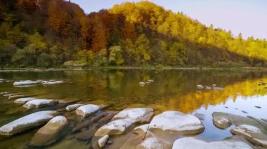 Mountain river rapids running water. Autumn mountain stream. natural stream. Tourism and travel on the mountain river Stry, Ukraine. Wonderful natural spectacle of autumn. Rapids of alpine rivers.