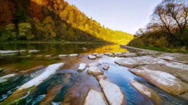 Dağ nehri akan suları taşır. Sonbahar dağ deresi. Doğal akış. Ukrayna 'daki Stry Dağı' nda turizm ve seyahat. Sonbaharın muhteşem doğal manzarası. Alp nehirlerinin akıntıları.