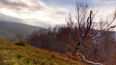 Carpathians, Pylypets, Ukraine. Mountain cloud top view landscape. Timelapse of the Magura-Dzhide mountain range in the Carpathians from the air. Mount Gemba. Shipit Karpat.