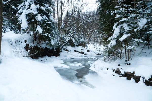 Rivieren in de winter, met sneeuw en ijs — Stockfoto