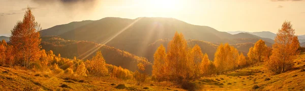 Güneşin altında parlayan dağların muhteşem manzarası. Dramatik sabah sahnesi. Carpathian Ulusal Parkı, Synevyr Geçidi, Ukrayna, Avrupa. Sanatsal resim. Güzellik dünyası. Sıcak tonlama efekti. — Stok fotoğraf
