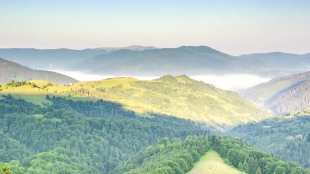 Wonderful summer forest at sun mountain range. Nobody nature landscape at fall season. Sunrise rays through fog and clouds. Country rest on the Synevyr Pass, Carpathians, Ukraine. — Video