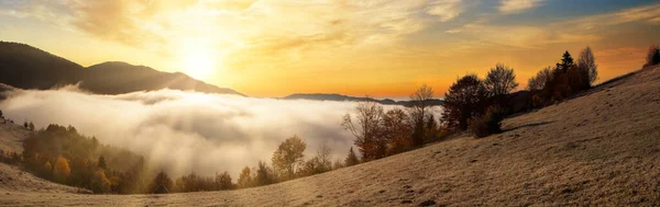 Frozen meadow with a layer of fog during sunrise in the Carpathian mountains, Ukraine. — Stock Photo, Image