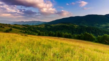 Güneş, Karpat Dağları 'nın Synevir geçidinde. Tepedeki çimenler. Carpathian dağlarındaki kırsal muhteşem manzara. Synevyr Geçidi 'nde dinlenme yeri, Karpatlar, Ukrayna.