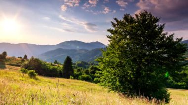 Gün batımında harika bir orman ve çimenli çayır. Altın güneş ufukta beliriyor, günün sonunda. Altın saat boyunca çekim yapmak. Synevyr Geçidi, Karpatlar, Ukrayna 'da dinlenme yeri..