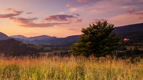 Die Sonne über dem Synevir-Pass der Karpaten. Hohes Gras auf dem Hügel. Landschaftlich wunderbare Landschaft in den Karpaten. Landruhe im Synevyr-Pass, Karpaten, Ukraine. — Stockvideo