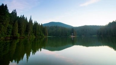 Güzel doğa ve bereketli yeşil ormanlar ve Karpatlar 'ın incisinin etrafındaki bitki örtüsüyle harika bir manzara - Synevyr Gölü. Ukrayna 'daki Karpatlar. Büyük köknar üzerinde mistik sis.