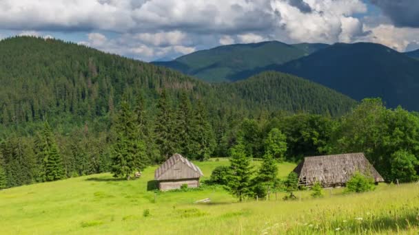 美丽的大自然和美丽的风景，环绕着喀尔巴阡山脉的珍珠，绿树成荫，植物繁茂。乌克兰的喀尔巴阡山脉。巨大的天空笼罩着神秘的雾气. — 图库视频影像