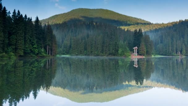 Bela natureza e uma paisagem maravilhosa com florestas verdes exuberantes e vegetação ao redor da pérola dos Cárpatos - Lago Synevyr. Cárpatos na Ucrânia. Nevoeiro místico sobre os grandes abetos. — Vídeo de Stock