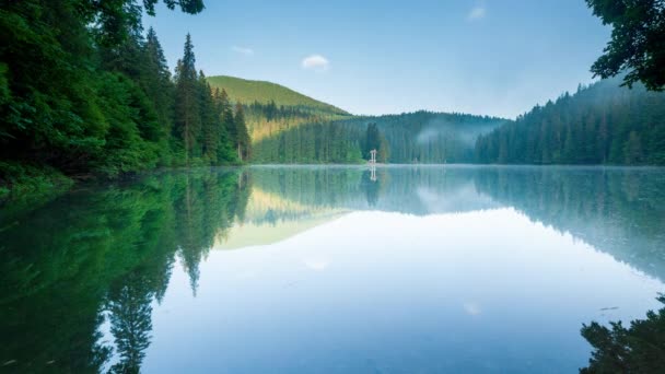 Schöne Natur und eine wunderbare Landschaft mit üppig grünen Wäldern und Vegetation rund um die Perle der Karpaten - den Synevyr-See. Karpaten in der Ukraine. Mystischer Nebel über den großen Tannen. — Stockvideo