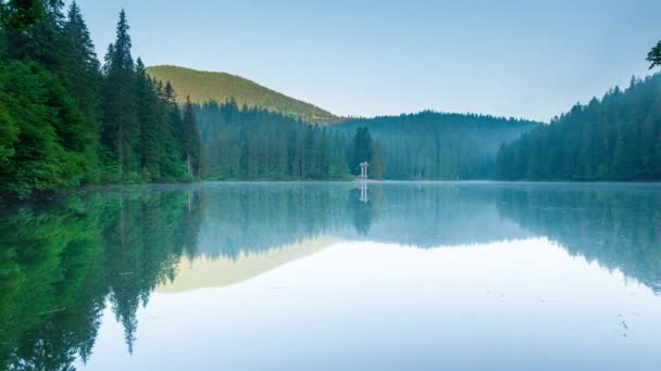 Piękna przyroda i wspaniały krajobraz z bujną zielenią i roślinnością wokół perły Karpat - Jezioro Synevyr. Karpaty na Ukrainie. Mistyczna mgła nad wielkimi jodłami. — Wideo stockowe