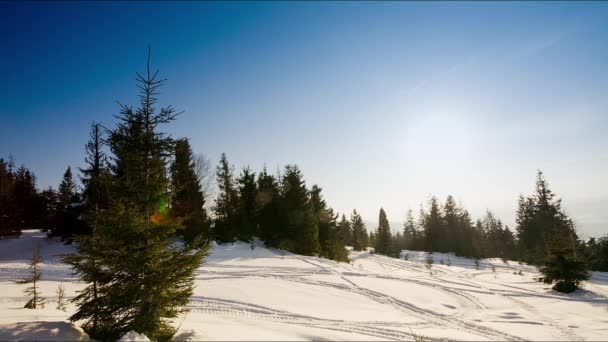山の中で美しい冬の風景。太陽がモミの木の枝を覆って雪を突破します。新雪の厚い層で覆われた地面や木 — ストック動画