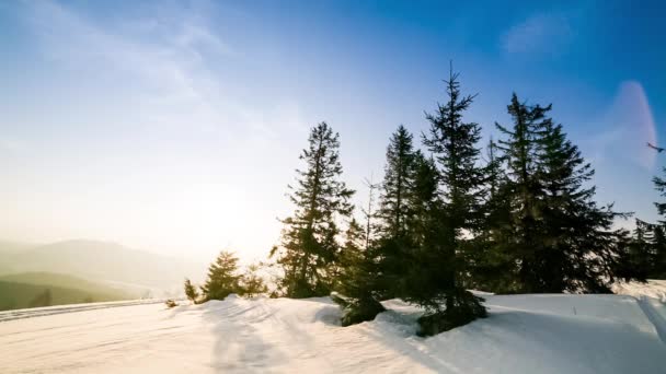 Прекрасний зимовий пейзаж у горах. Сонце проривається крізь засніжені гілки ялинки. Грунт і дерева покриті товстим шаром свіжого пухнастого снігу — стокове відео