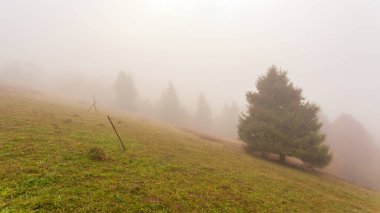 Güz Dağı Vadisi 'nde güzel bir sabah ve içinde küçük bir köy. Samanlık ve çam ağacıyla sisli dağların panoramik manzarası.