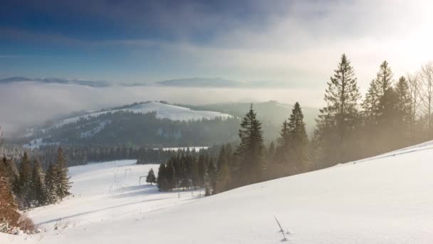 Napkelte a téli hegyi erdő antennáján. Frosty senki természet táj. Alpesi hó borította fák a reggeli ködben. Lélegzetelállító természeti szépség. Napkelte rózsaszín fény. Fenyőerdők. — Stock videók
