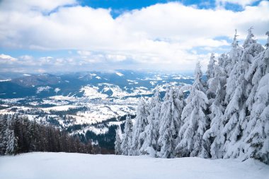 Dağın tepesinden, ormandaki donma ve alçak bulut manzarası.