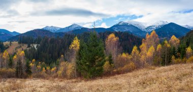 Dağlarla, ormanlarla ve Ukrayna 'daki Karpat Dağları' ndaki ağaçlarla harika bir manzara..