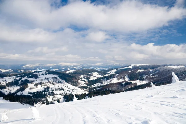 Carpathian mountains, Ukraine. Wonderful snow-covered firs against the backdrop of mountain peaks. Panoramic view of the picturesque snowy winter landscape. Gorgeous and quiet sunny day. — Stockfoto