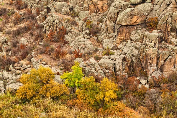 Un gran número de minerales de piedra cubiertos de vegetación verde que yace sobre un pequeño río en la pintoresca Ucrania y su hermosa naturaleza —  Fotos de Stock