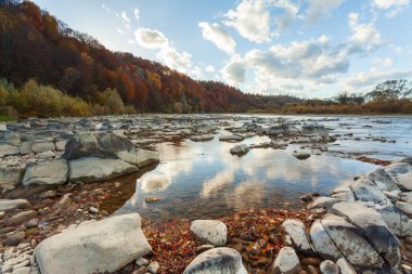 Sonbaharda şelalenin manzarası. Sonbahar renklerinde şelale. Sonbahar manzarasında dağ nehri. Ukrayna, Stryj Nehri.