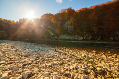 Sonbaharda şelalenin manzarası. Sonbahar renklerinde şelale. Sonbahar manzarasında dağ nehri. Ukrayna, Stryj Nehri.