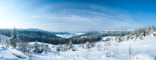 Carpathian mountains, Ukraine. Wonderful snow-covered firs against the backdrop of mountain peaks. Panoramic view of the picturesque snowy winter landscape. Gorgeous and quiet sunny day. — Fotografia de Stock