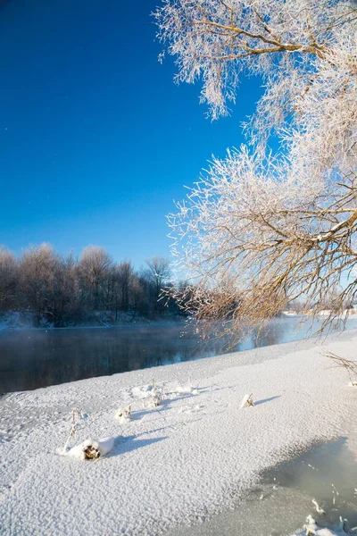 Fotoğrafta karla kaplı nehir kışın donmadı. Nehir kışın akar. Ağaçların dallarında kar. Nehirde kar yansıması. Nehrin kıyısında muazzam kar yığınları uzanır..