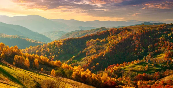 Güneşin altında parlayan dağların muhteşem manzarası. Dramatik sabah sahnesi. Carpathian Ulusal Parkı, Synevyr Geçidi, Ukrayna, Avrupa. Sanatsal resim. Güzellik dünyası. Sıcak tonlama efekti.