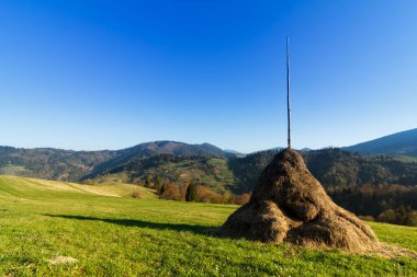 Samanlıkta dağlar çimenli kırsal alan. güzel kırsal manzara ormanlık tepeler güzel yaz günü ile