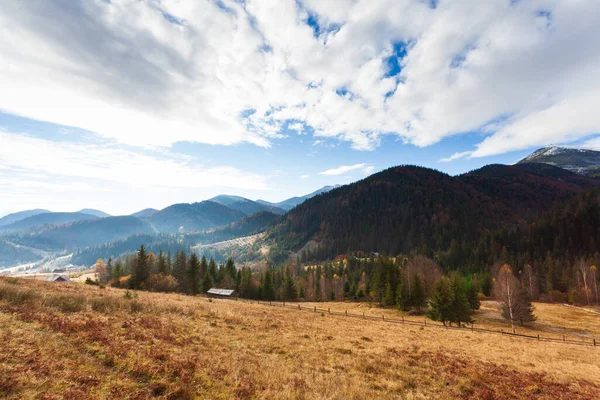 Magnifique paysage magnifique avec forêt de montagnes et prairie avec des arbres dans les montagnes des Carpates, Ukraine. — Photo