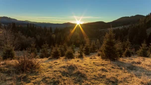 Solig skog tidigt på morgonen. Solen bryter igenom grenarna av första, bildar vackra strålar i luften. Gräs täckt med frost. Karpaterna i bergen. Ukraina — Stockvideo