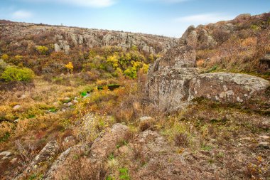 Resimli Ukrayna 'daki küçük bir nehrin üzerinde yeşil bitki örtüsüyle kaplı çok sayıda taş minerali ve onun güzel doğası.