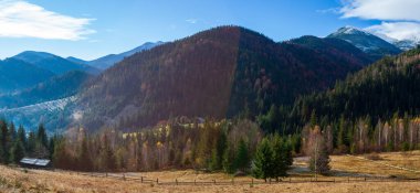Dağlarla, ormanlarla ve Ukrayna 'daki Karpat Dağları' ndaki ağaçlarla harika bir manzara..