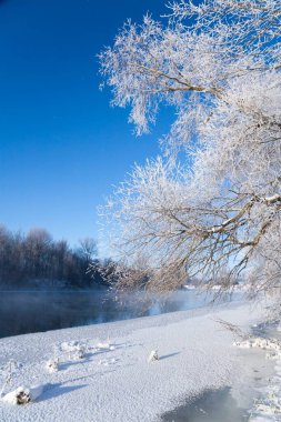 Fotoğrafta karla kaplı nehir kışın donmadı. Nehir kışın akar. Ağaçların dallarında kar. Nehirde kar yansıması. Nehrin kıyısında muazzam kar yığınları uzanır..