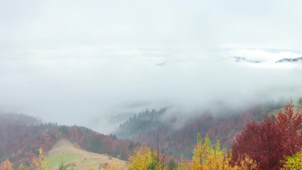 Časový skluz. Fantastická barevná horská krajina s mrakem. Ukrajina, Karpaty — Stock video