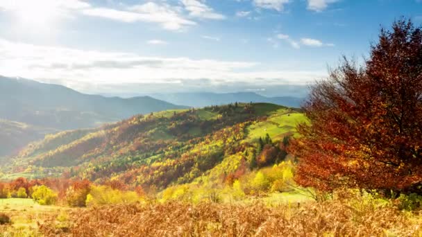 Nádherná podzimní krajina s krásnou modrou oblohou a majestátní mraky Forest Sunset Beautiful Fall Season Forest Mountain Sunset Orange Colors Spirituality Inspiration Vacation Concept — Stock video