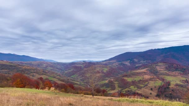 Maravilhosa paisagem de outono com céu azul bonito e nuvens majestosas Floresta Pôr do sol Bela Queda Estação Floresta Montanha Pôr do sol Laranja Cores Espiritualidade Inspiração Férias Conceito — Vídeo de Stock