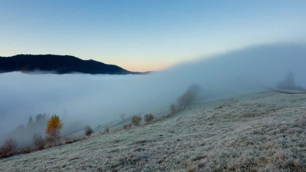 Fryst frost på gräs. Mystiskt bergslandskap en mulen höstmorgon. Underbar dimmig skog i höglandet. Naturlig bakgrund. Blå himmel över färgglada landskap — Stockvideo