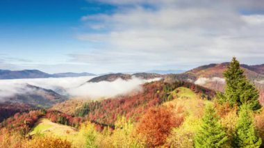 Muhteşem sonbahar manzarası güzel mavi gökyüzü ve görkemli bulutlar Orman Günbatımı Orman Ormanı Güzel Mevsim Ormanı Sunset Ormanı Turuncu Renkler Ruhsal İlham Tatil Kavramı