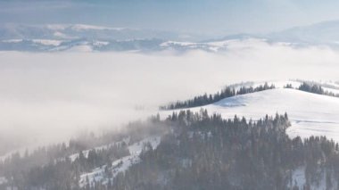 Kış ormanı anteninde gün doğumu. Donuk hiç kimse doğa manzarası. Alp karı sabah sisinde ağaçları kapladı. Nefes kesici doğal güzellik. Güneş pembe ışıkta doğar. Çam Ormanı.