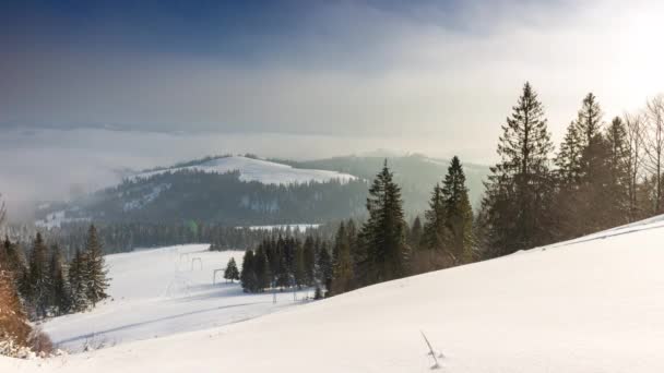 Восход солнца в зимних горных лесах. Ледяной никого природный пейзаж. Альпийский снег покрыл деревья в утренний туман. Потрясающая природная красота. Солнце восходит розовым светом. Сосновый лес. — стоковое видео