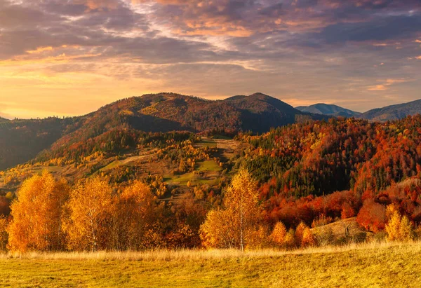 Maravillosa vista de las montañas que brillan bajo la luz del sol. Escena matutina dramática. Parque nacional de los Cárpatos, paso Synevyr, Ucrania, Europa. Cuadro artístico. Un mundo de belleza. Efecto tonificante cálido. — Foto de Stock