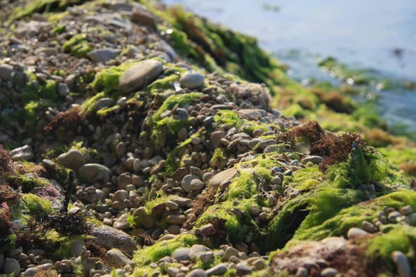 Prachtig zeelandschap. Rocky west kostprijs van de Krim, Europa, Oekraine — Stockfoto