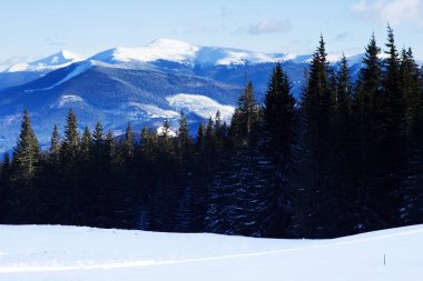 Karpat Dağları karlı görünümünde