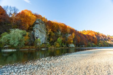 Sonbaharda şelalenin manzarası. Sonbahar renklerinde şelale. Sonbahar manzarasında dağ nehri. Ukrayna, Stryj Nehri.