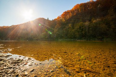 Sonbaharda şelalenin manzarası. Sonbahar renklerinde şelale. Sonbahar manzarasında dağ nehri. Ukrayna, Stryj Nehri.