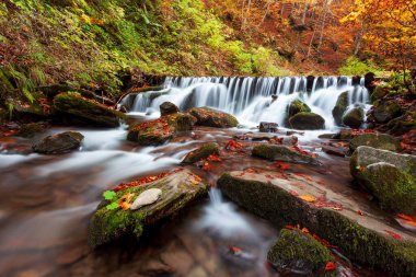 Ukpaine. Yosunlu kayaların arasında şelale. Günbatımında Karpat Dağları 'nda sonbahar ormanlarındaki bir nehirde güzel manzara akıntıları. Ulusal park Shypit Carpat 'ta gümüş akıntısı. Kuklalar.